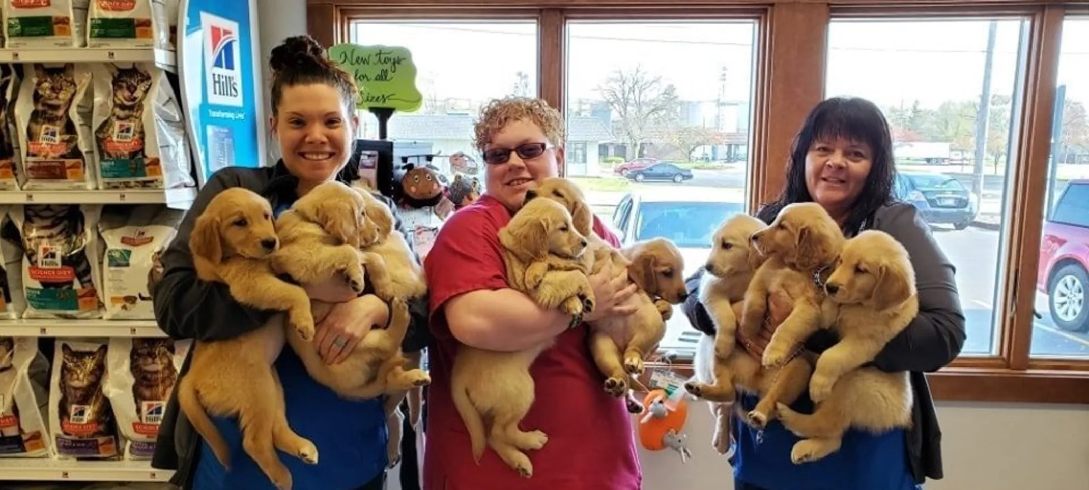 Staff holding puppies at New Haven Pet Hospital